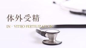 体外受精